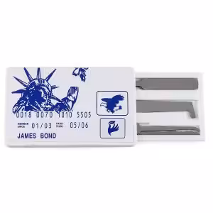 Credit Card Lock Pick Set (2 Pieces)