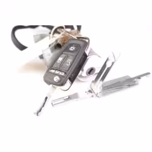 Lishi FB77 2in1 Decoder and Pick for DAF Trucks